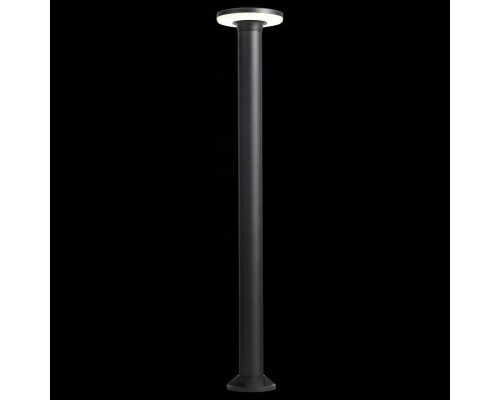 Уличный светильник ST-Luce Contario SL087.415.01