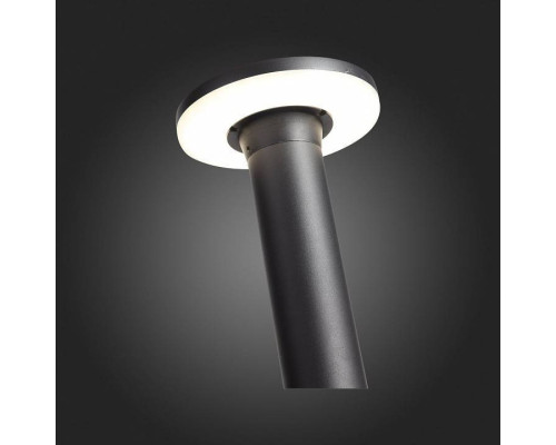 Уличный светильник ST-Luce Contario SL087.415.01