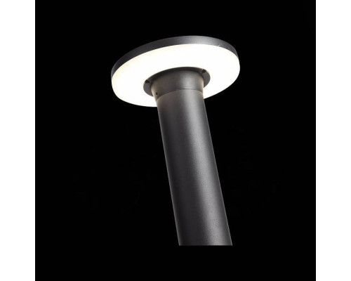 Уличный светильник ST-Luce Contario SL087.415.01