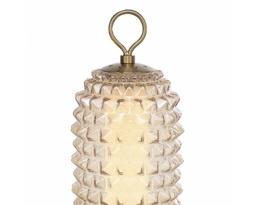 Настольная лампа декоративная ST-Luce SAGUARO SL6144.304.01