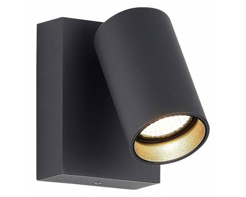 Светильник на штанге ST-Luce Deck SL9515.701.01