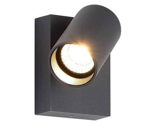 Светильник на штанге ST-Luce Deck SL9515.701.01