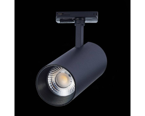 Светильник на штанге ST-Luce Mono ST350.446.30.24