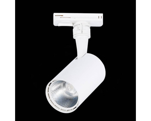 Светильник на штанге ST-Luce Cami ST351.536.10.24