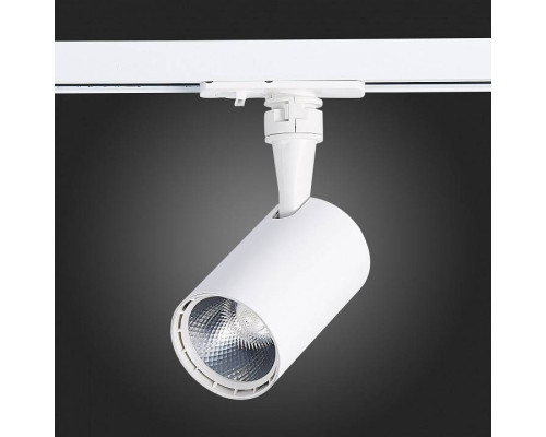 Светильник на штанге ST-Luce Cami ST351.536.10.24