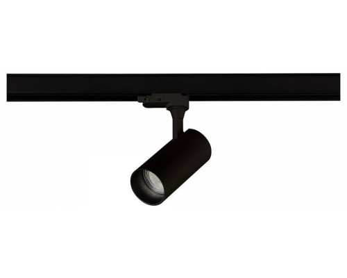 Светильник на штанге ST-Luce BASE ST383.496.10