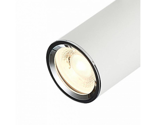 Светильник на штанге ST-Luce SKYLINE 220 ST504.506.01