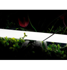 Лента светодиодная SWG PRO  00-00013284