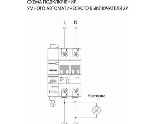 Автоматический выключатель 2P с Wi-Fi Werkel  W1002P6301