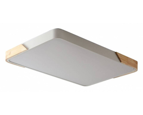 Светильник накладной Zortes ALBERRO ZRS.01233.60