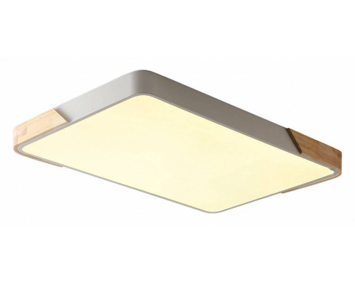 Светильник накладной Zortes ALBERRO ZRS.01233.60