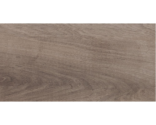 Plant Плитка настенная коричневый 08-01-15-2685 20х40