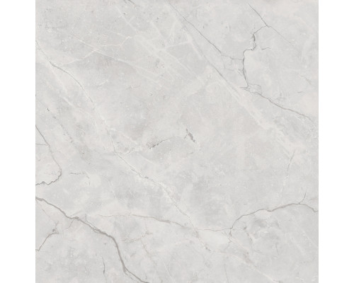 Connect Gris Керамогранит серый SG619922R 60х60 полированный