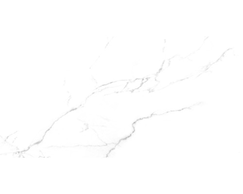 Discovery Blanco Керамогранит белый SG50002420R 59,5х119,1 матовый