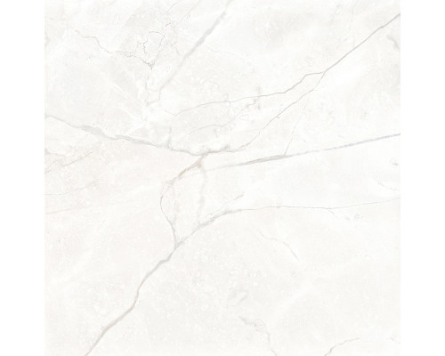 Connect Pearl Керамогранит светло-серый SG624920R 60х60 матовый