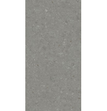 Чеппо ди Гре Керамогранит серый тёмный матовый обрезной DD507920R 60x119,5