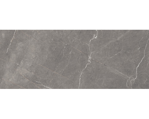 Fronda Плитка настенная серый 20х50