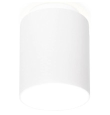 Накладной светильник Ambrella Light TN TN260