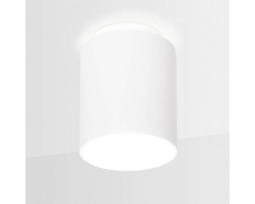 Накладной светильник Ambrella Light TN TN260