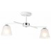 Светильник на штанге Ambrella Light TR TR303201