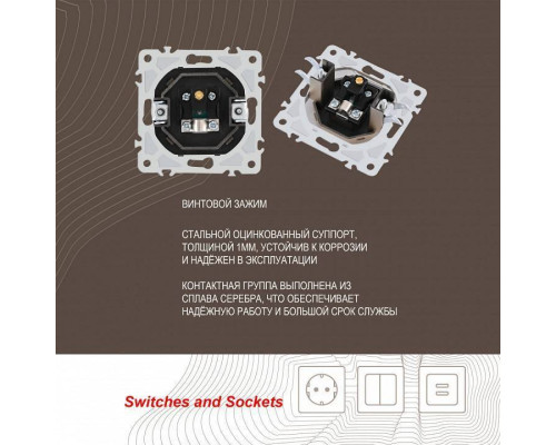 ТВ-розетка без рамки Arte Milano am-206 206.43-1.shampan