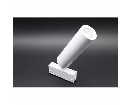 Светильник на штанге Aployt Magnetic track 220 APL.0210.11.01