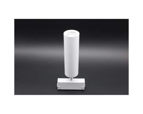 Светильник на штанге Aployt Magnetic track 220 APL.0210.11.01