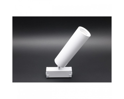 Светильник на штанге Aployt Magnetic track 220 APL.0210.11.01