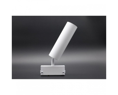 Светильник на штанге Aployt Magnetic track 220 APL.0210.11.01