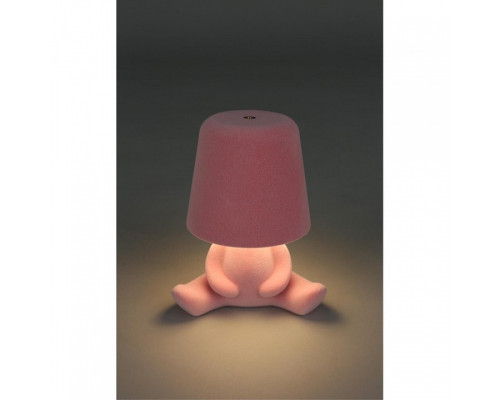 Зверь световой Aployt Olka APL.677.14.01