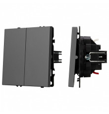 Выключатель проходной двухклавишный без рамки Arlight SWT 054257