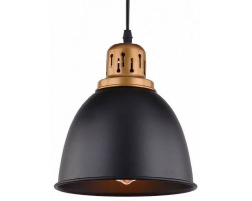 Подвесной светильник Arte Lamp Eurica A4245SP-1BK