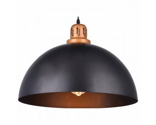 Подвесной светильник Arte Lamp Eurica A4249SP-1BK