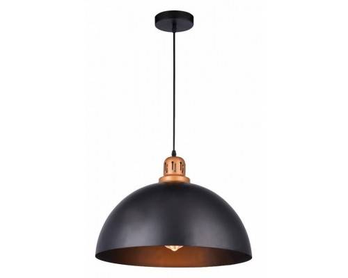 Подвесной светильник Arte Lamp Eurica A4249SP-1BK