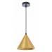 Подвесной светильник Arte Lamp David A7033SP-1BK