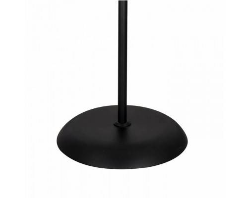 Торшер с подсветкой Arte Lamp Duetto A9569PN-2BK