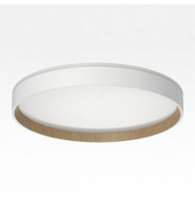 Накладной светильник Citilux ETALON CL750320R