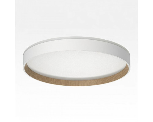 Накладной светильник Citilux ETALON CL750320R