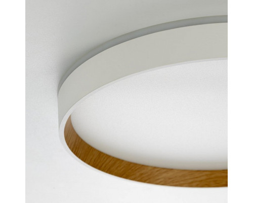 Накладной светильник Citilux ETALON CL750320R