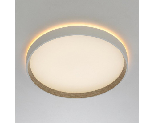 Накладной светильник Citilux ETALON CL750320R