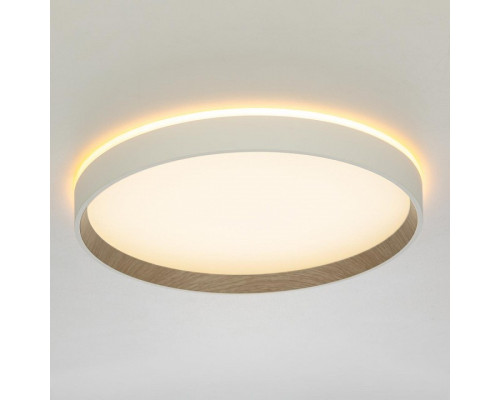 Накладной светильник Citilux ETALON CL750320R