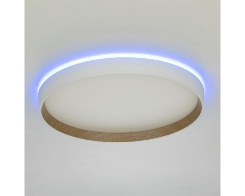 Накладной светильник Citilux ETALON CL750320R