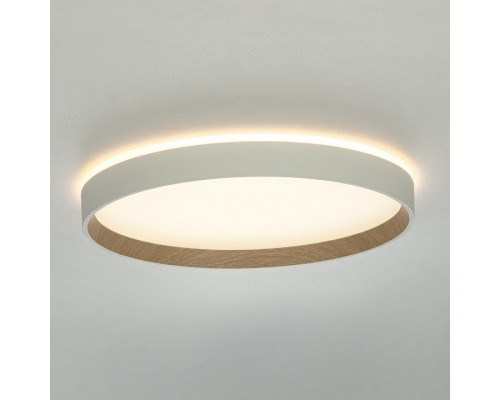 Накладной светильник Citilux ETALON CL750320R