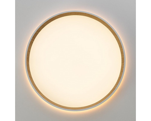 Накладной светильник Citilux ETALON CL750320R