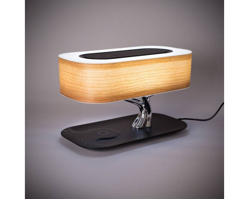 Настольная лампа Citilux Ньютон CL803042