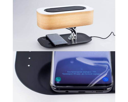 Настольная лампа Citilux Ньютон CL803042