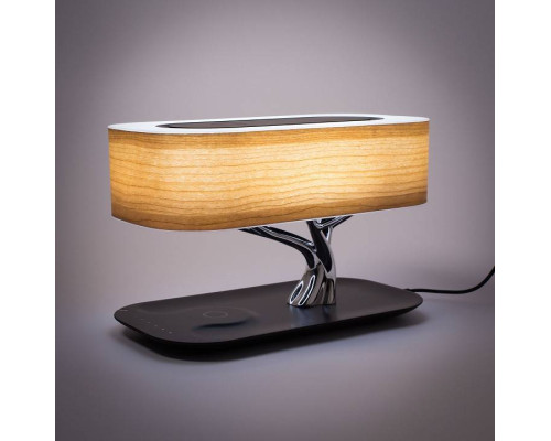 Настольная лампа Citilux Ньютон CL803042