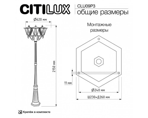 Фонарный столб Citilux FORTS CLU09P3