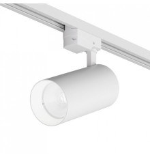 Светильник на штанге Denkirs  DK6456-WH