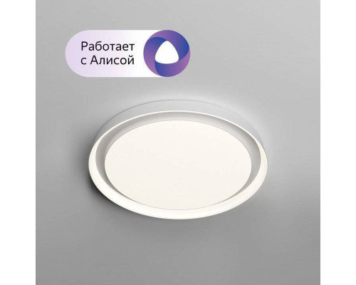 Накладной светильник Denkirs Plato DK6516-WH